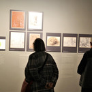 IMG_7700.JPG