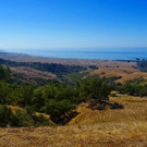 ranch-1043048_1920.jpg