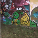 Graffiti.jpg