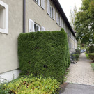 s__dtirolersiedlung _10_.jpg