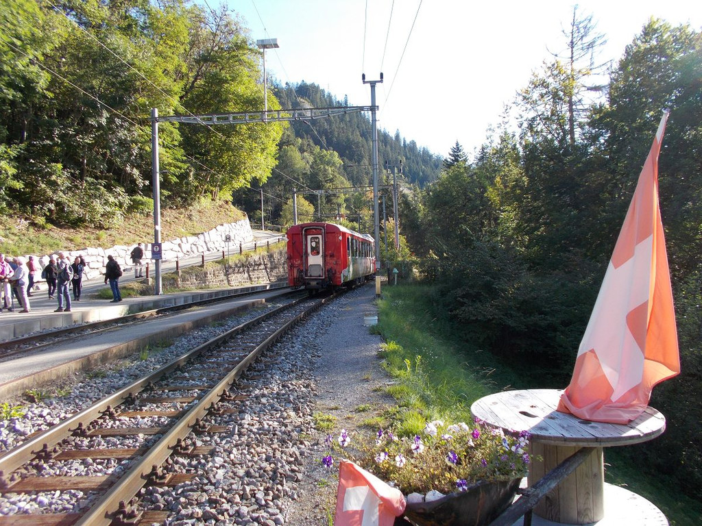 k-DSCN2355.JPG
