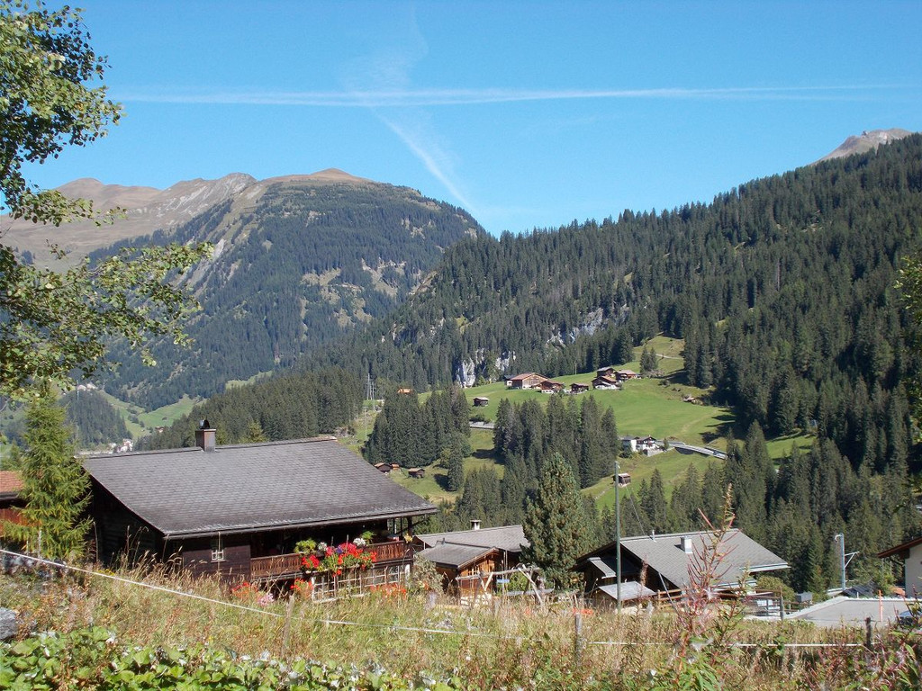 k-DSCN2387.JPG