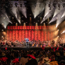 dif21-festivalwochenende_51490014776_o.jpg