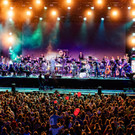 dif21-festivalwochenende_51490532653_o.jpg