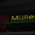 873973.jpg