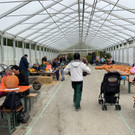 Sunnahof in Göfis- Kürbiswoche