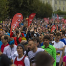 file7hwnfpdcff8gv15aixx.jpg