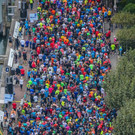file7hwoiizkir88w8nv8s3.jpg