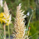HL8A1689-2.jpg