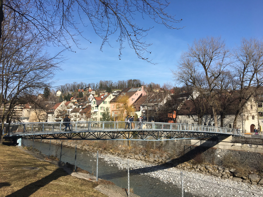 feldkirch 19-02-2019 _17_.JPG