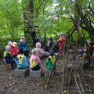 Ein ganzer Wald zum Spielen