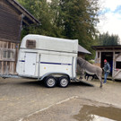 gut bozenau _5_.jpg