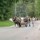 881390.jpg