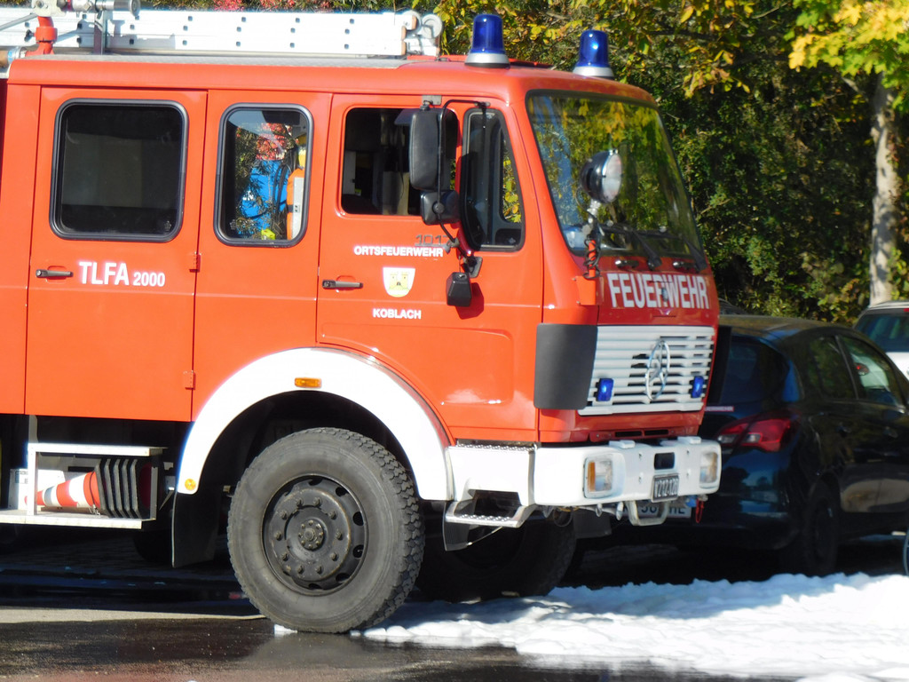 DSCI6770.JPG