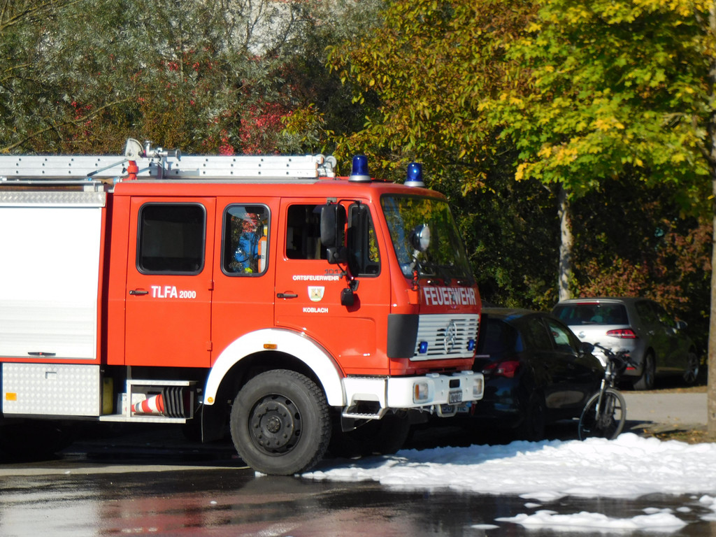 DSCI6771.JPG