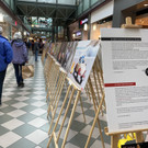 netz f__r kinder ausstellung _3_.jpg