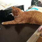 IMG_20201123_172023004.jpg