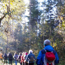 IMG-20211016-WA0004.jpg
