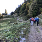 IMG_7058.JPG