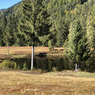 IMG_7077.JPG