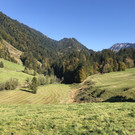 IMG_7086.JPG