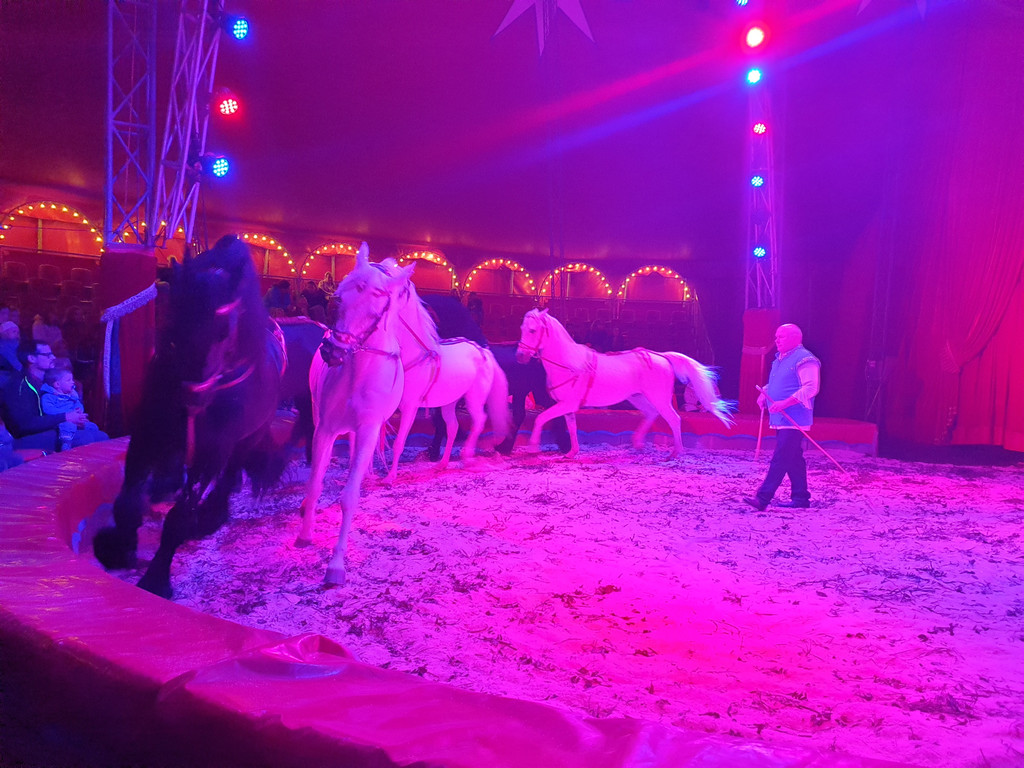 Zirkus1.jpg