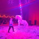 Zirkus2_1.jpg