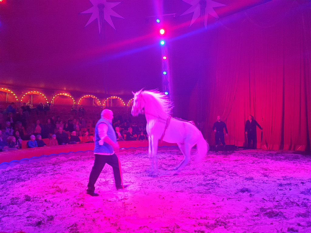 Zirkus2_1.jpg