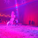 Zirkus2.jpg