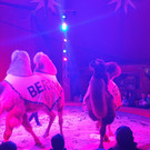 Zirkus5.jpg