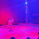 Zirkus7.jpg