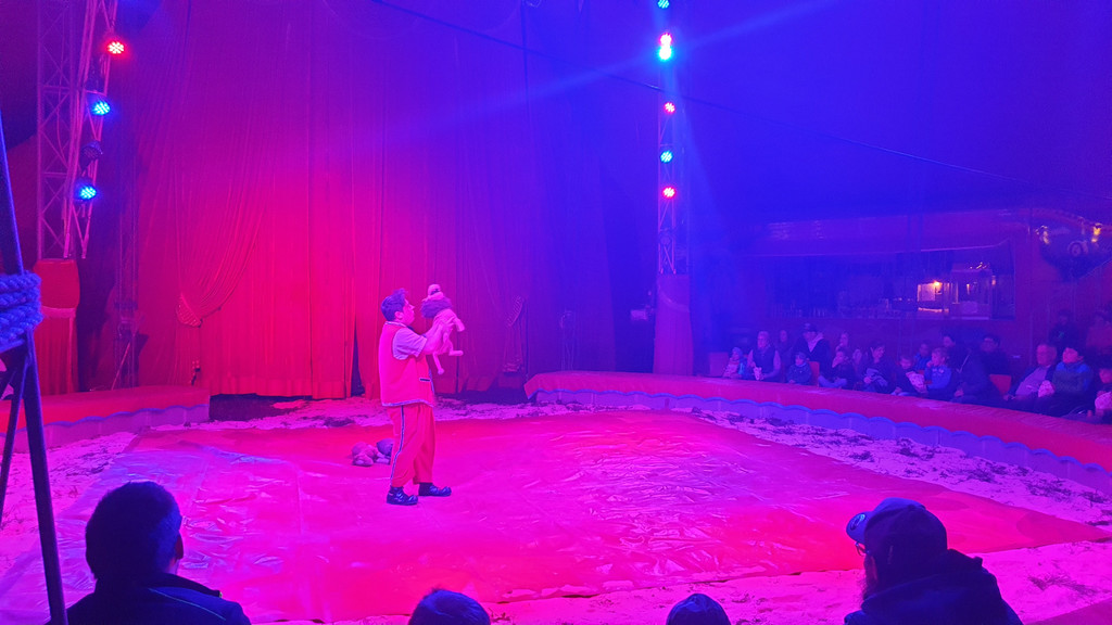 Zirkus7.jpg