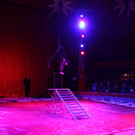 Zirkus9_1.JPG