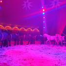 Zirkus9.jpg