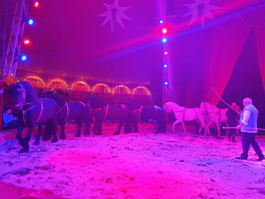 Zirkus9.jpg
