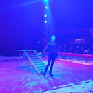 Zirkus10.jpg
