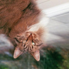 075CB187-0D89-43D4-B7C7-A42DC85CB949.jpeg
