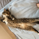 421A0568-1166-49A8-A4C0-5F783E55F915.jpeg