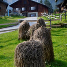 Hubertusfeier Garfrescha 2021 _4_.jpg