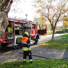 DSCI6894.JPG