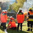 DSCI6898.JPG