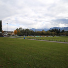 IMG_8761.JPG