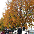 Corona-Demo in Bregenz