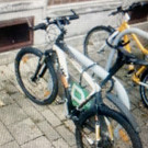 20211028 PI M__dling Foto  5.JPG