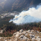 ABD0040-20211026 _1_.jpg