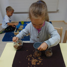 DSC07949.JPG