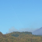 IMG-20211029-WA0001.jpg