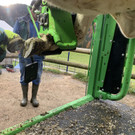 image00044.jpeg