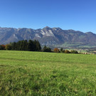 IMG_3040.jpeg