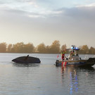 Segelboot gekentert